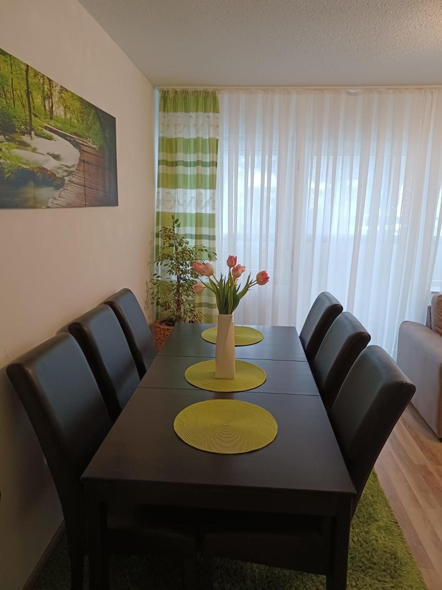 H&A Apartment Baden Baden Kültér fotó